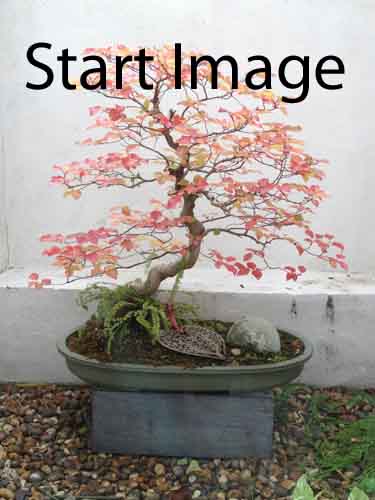 start